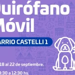 En agosto siguieron bajando las ventas minoristas