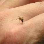 Oberti estará al frente del Centro Cívico de Río Cuarto