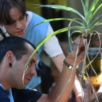 Mañana se sortean los 100 terrenos del Loteo Bustos entre casi 5 mil inscriptos