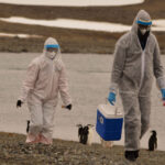 Los Juegos Olímpicos de París se inaugurarán en el Stade de France