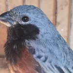 El Municipio local llegó a tratativas con Villa María