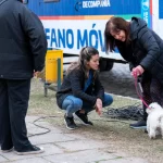 Día clave en el caso Loan: realizan la Cámara Gesell a los niños y familia será indagada