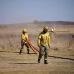 Pedro Almodovar gana el León de Oro en Venecia