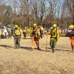 Caso Marley: la jueza se declaró incompetente y la causa pasó a la Justicia de San Isidro