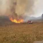 Alberto Fernández deberá darle el 30% de su jubilación a Fabiola Yañez