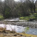 Nuevo cuadrante a través de los Consejos Barriales