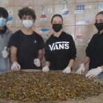 Valija Móvil y su operativo veraniego