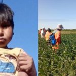 Sur cordobés: Bulnes cuenta con ambulancia propia