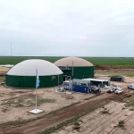 La Selección Argentina goleó a Brasil por las Eliminatorias con un desempeño brillante