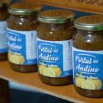 Colapinto volverá a correr en la Fórmula 1 con Alpine en Imola: “No puedo estar más emocionado”