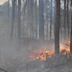 «Tenés que ir al lugar donde más servís»: CFK confirmó que será candidata a diputada bonaerense