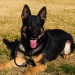 Impacto por las subas en luz, gas y garrafas: advierten que las tarifas aumentaron más que la inflación