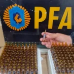 Fuerte llamado del papa León XIV por la paz mundial: «No más guerra»