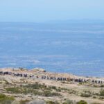 Trabajadores toman la planta de Petroquímica Río Tercero y denuncian que la empresa busca la quiebra