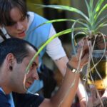 Cambio de sede para el duelo entre la Selección argentina y Puerto Rico