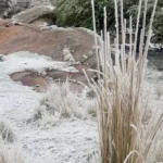 Tribuna Segura Córdoba incorpora nuevo equipamiento para sus operativos