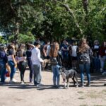 El millonario regalo de Martín Pepa a Pampita en su aniversario de novios