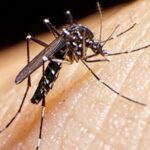 Con dos shows históricos de Shakira, Córdoba se consolida como sede de grandes eventos