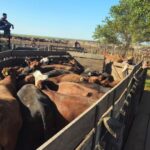 Emergencia en discapacidad: reclaman sanciones para el gobierno de Milei por el incumplimiento de la Ley