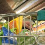 La discapacidad sigue en grave estado: el sector denuncia falta de pagos y prepara nuevas medidas de reclamo