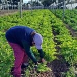 Judiciales exigen al TSJ y la Provincia la aplicación inmediata del aumento del 2,9% dispuesto por la Corte