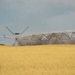 Detuvieron a un colombiano que estaba prófugo por el magnicidio de un senador en su país