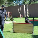 Boca Juniors goleó a Defensa y Justicia por 4 a 0 y lleva 14 partidos consecutivos sin perder